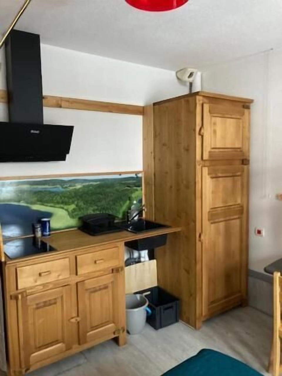 Classic Apartment, 1 Bedroom, Mobility Accessible, Courtyard View | Interior