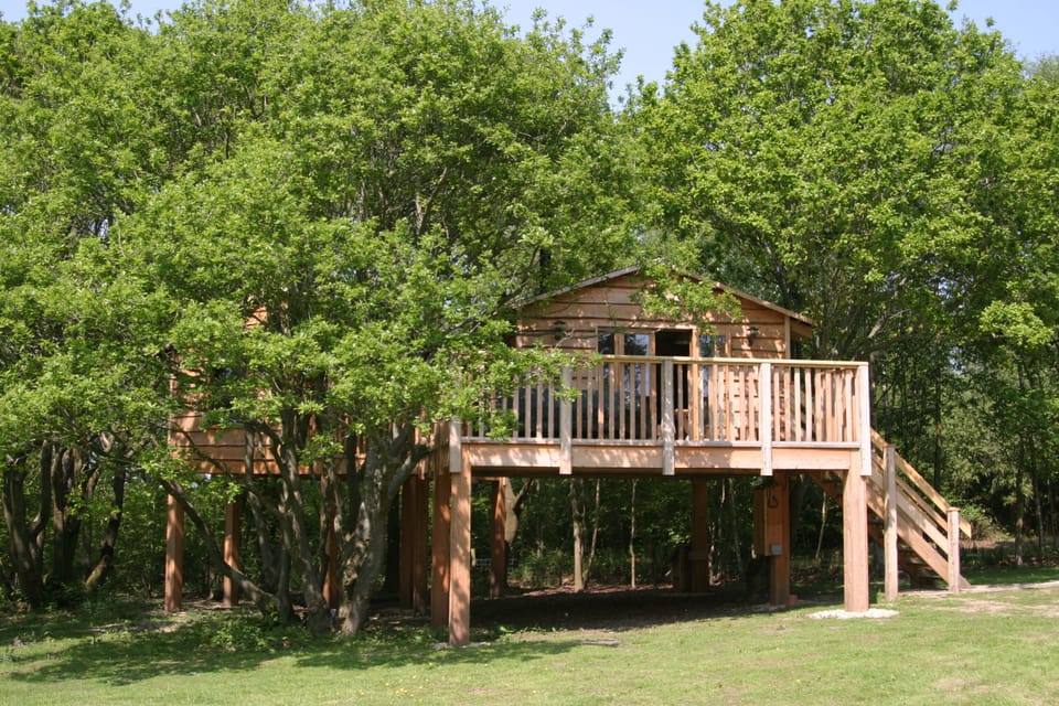 The Roost Treehouse