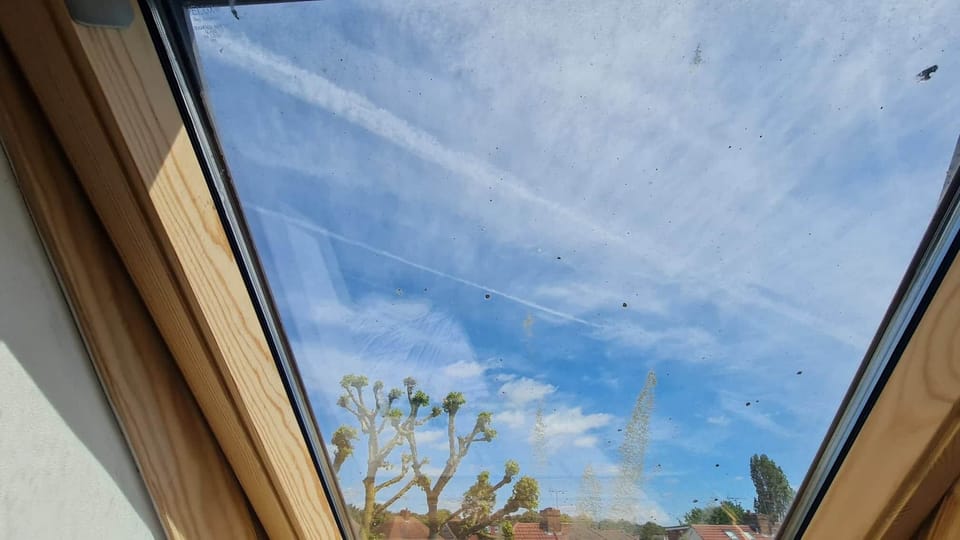 Loft velux view feels like you are flying in sky