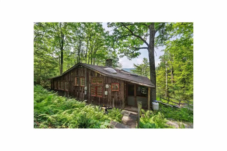 Rustic Cabin in the Forest