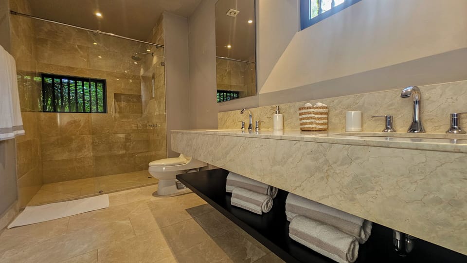 Deluxe Single Room, 1 King Bed | Bathroom | Shower, hair dryer, towels, soap