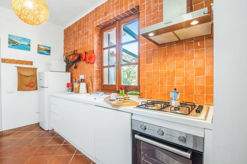 Family Apartment, Multiple Bedrooms (Lu Maggiu) | Private kitchen | Fridge, microwave, oven, stovetop