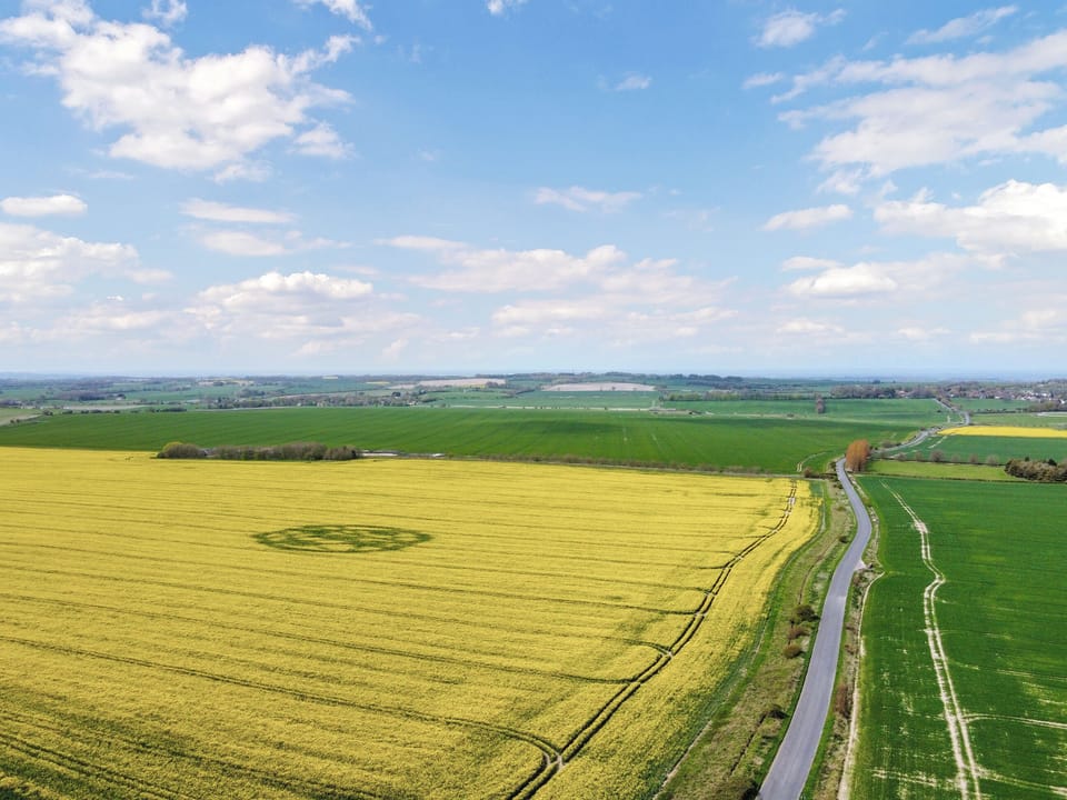 Surrounding area | The Watertower, Marlborough