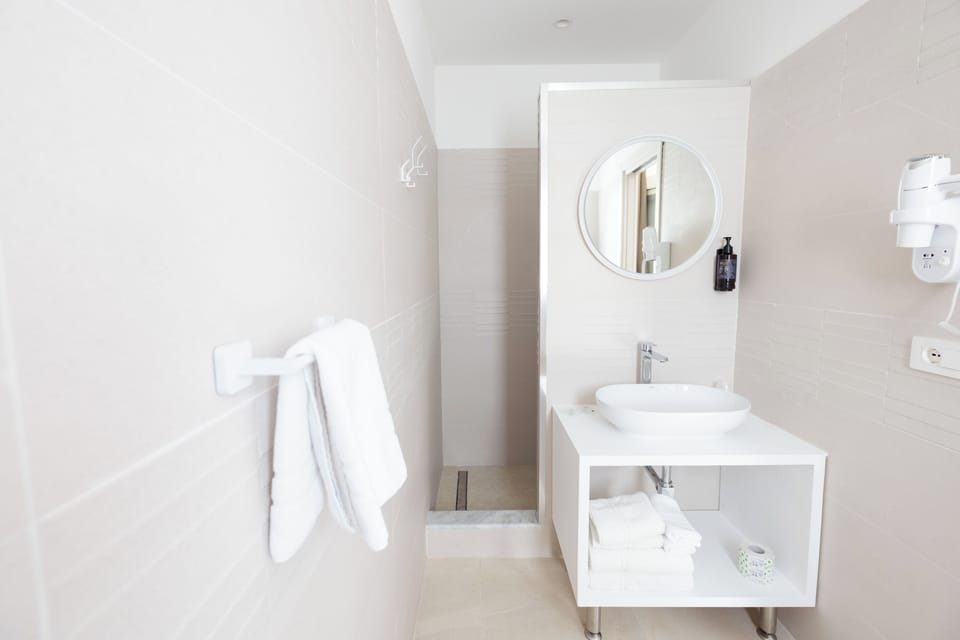Double Room | Bathroom | Shower, hair dryer, towels, soap