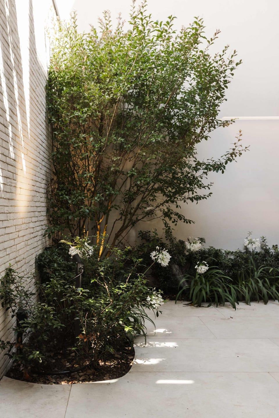 House | 2 bedrooms, Internet