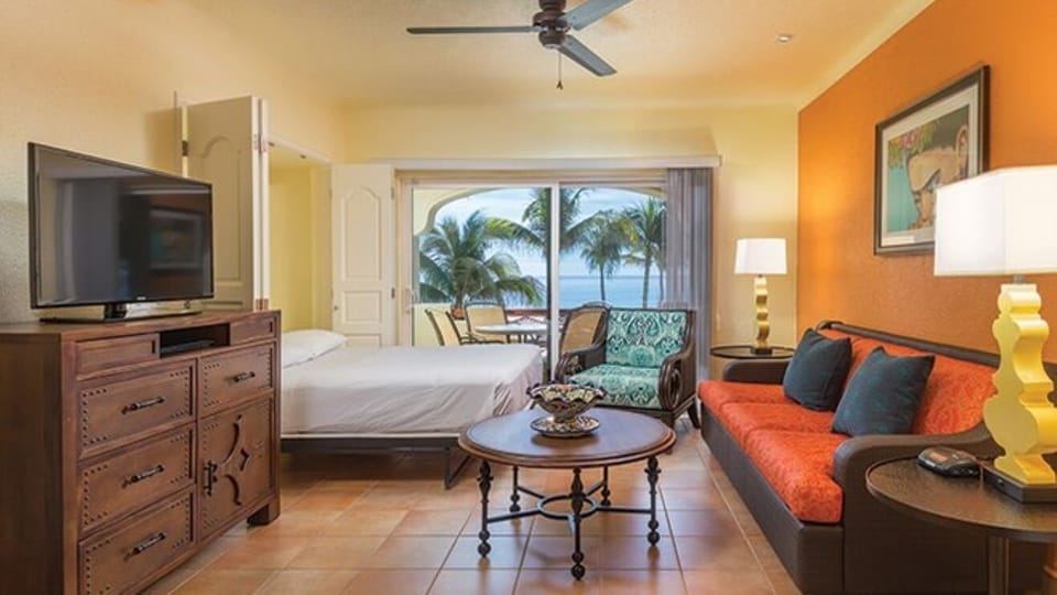 Studio • Living Area & Murphy Bed