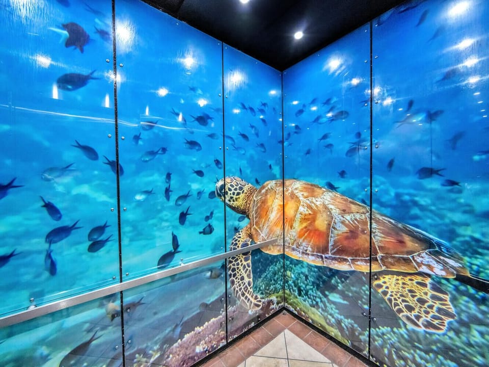 How fun is this elevator?! 