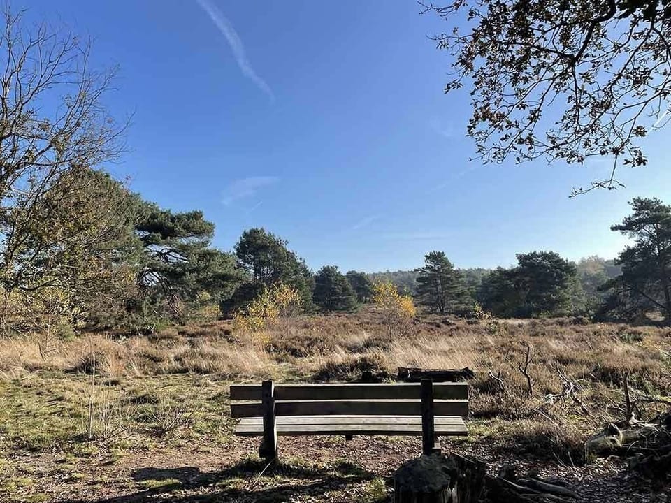 Pause on a quiet bench and soak up open skies.