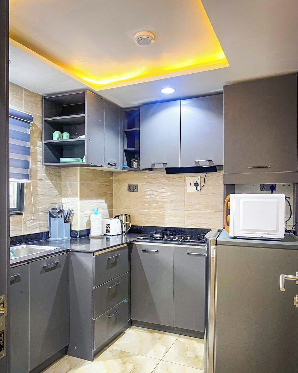 Family Apartment, Balcony, City View | Private kitchen | Fridge, microwave, oven, stovetop