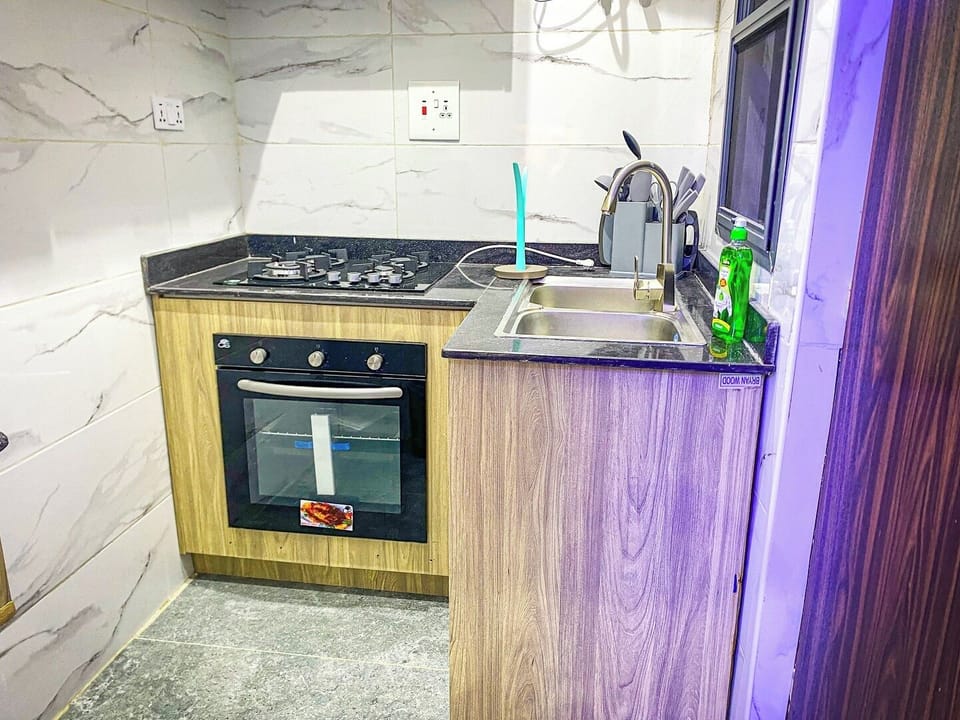 Family Apartment, Balcony, City View | Private kitchen | Fridge, microwave, oven, stovetop