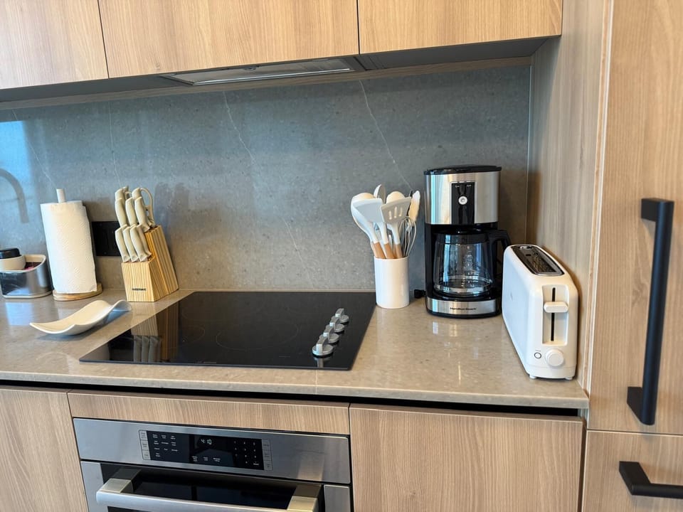 Superior Apartment, Balcony, City View | Private kitchen | Full-size fridge, microwave, oven, stovetop
