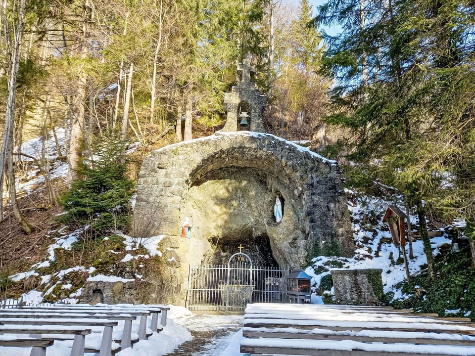 Winter, Arch, Freezing, Snow, Frost, Pine Family