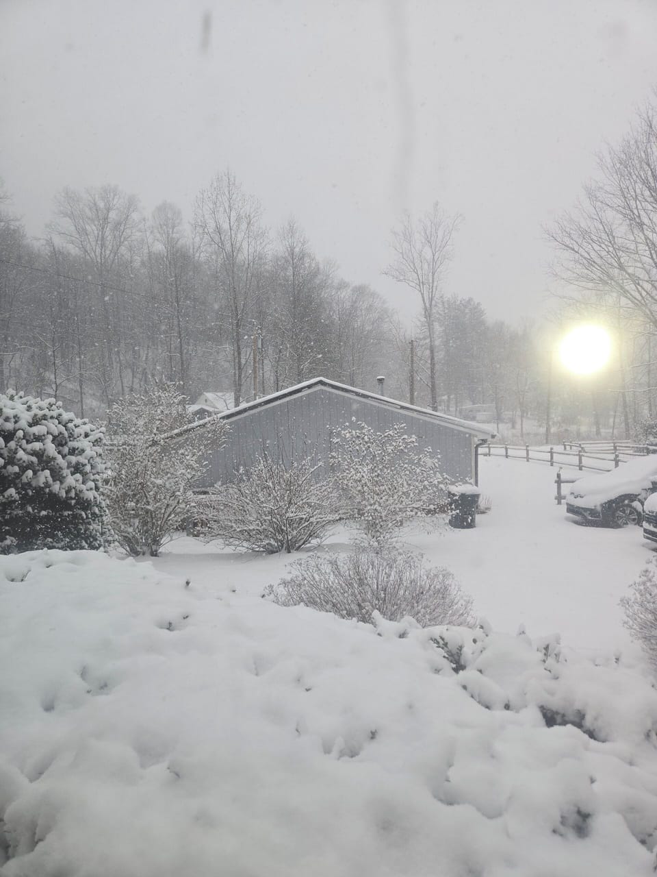 Snowy day