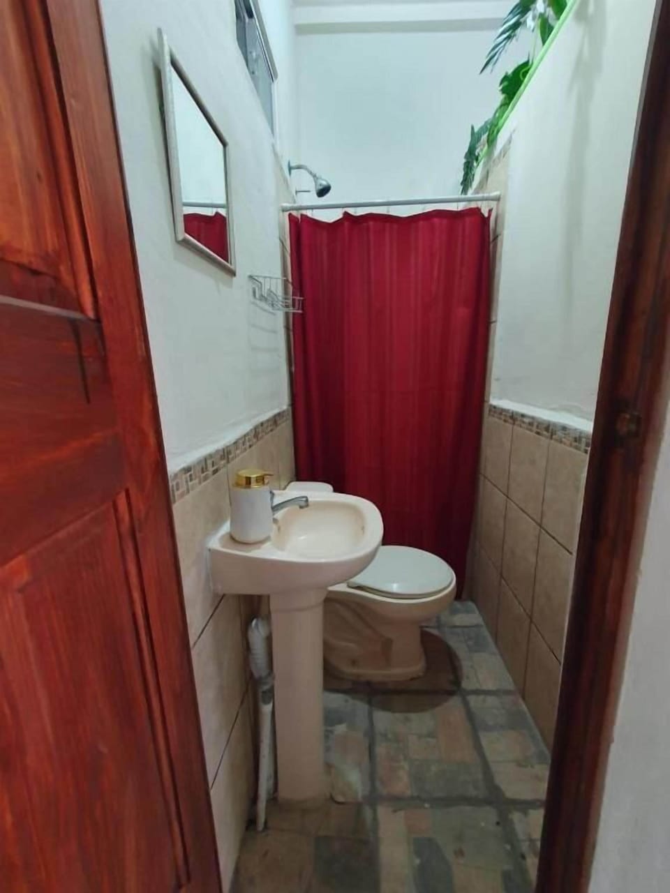 Shower, soap, shampoo, toilet paper