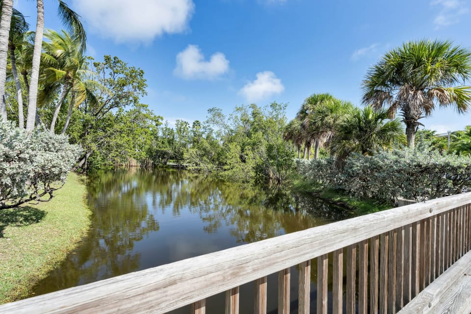 Peaceful boardwalk and water views surrounded by lush tropical landscaping and nature.