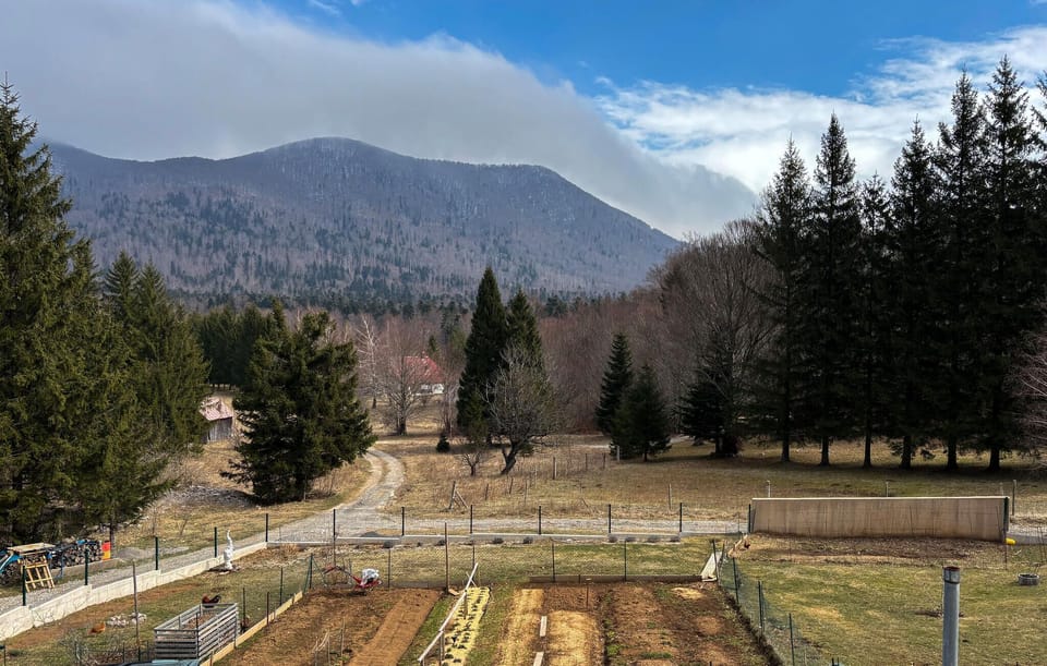 view-from-room