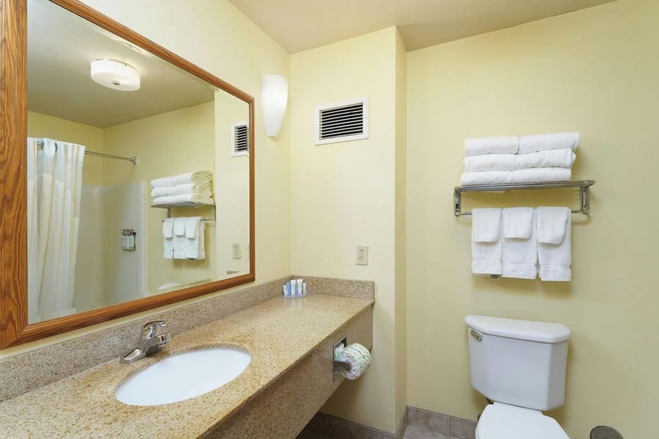 Free toiletries, hair dryer, towels