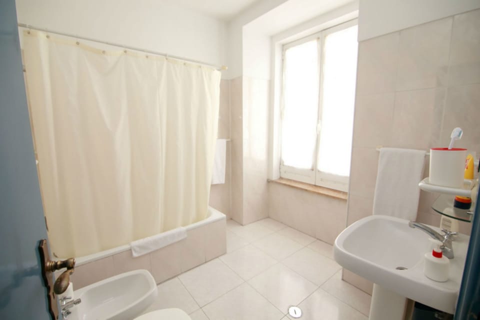 Combined shower/tub, hair dryer, towels