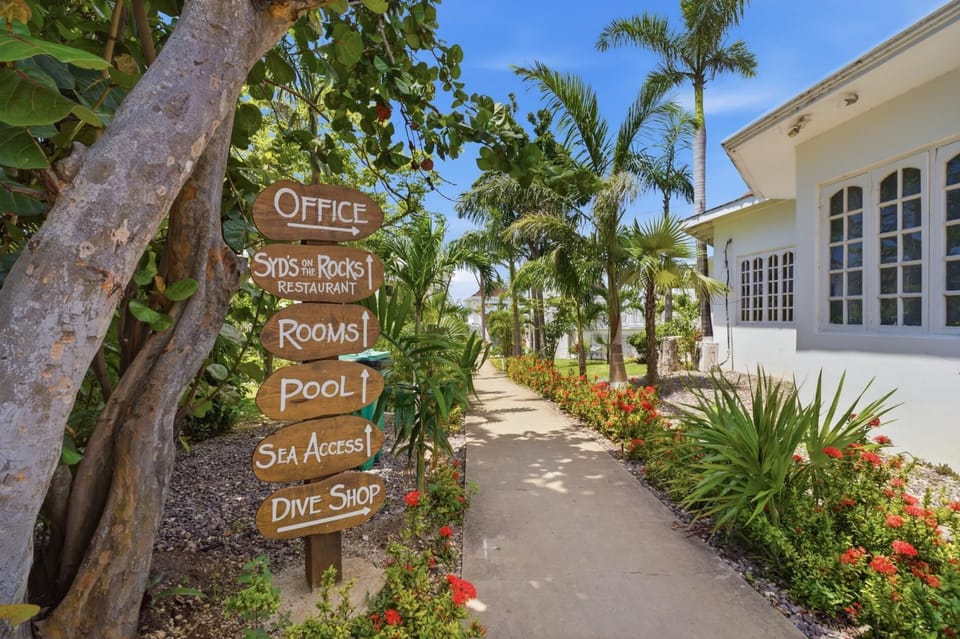 The Syd -1BR Oceanfront  King Suite w/ Kitchenette (3351)
