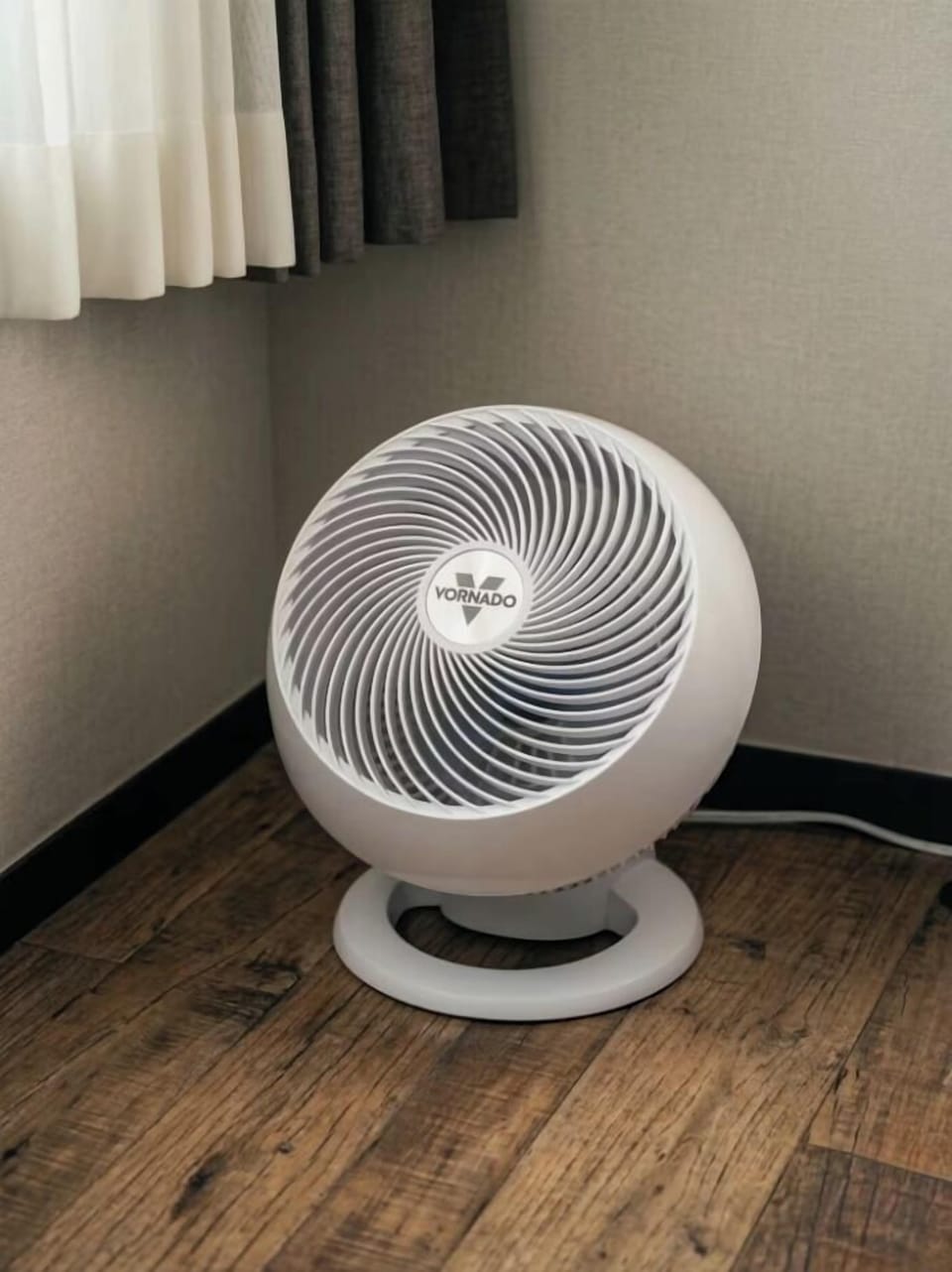 Fan