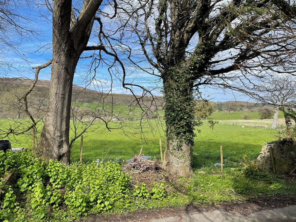 Cottage | Property grounds