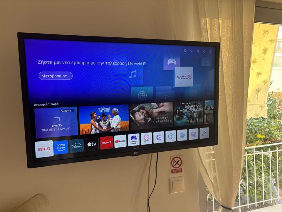Television
