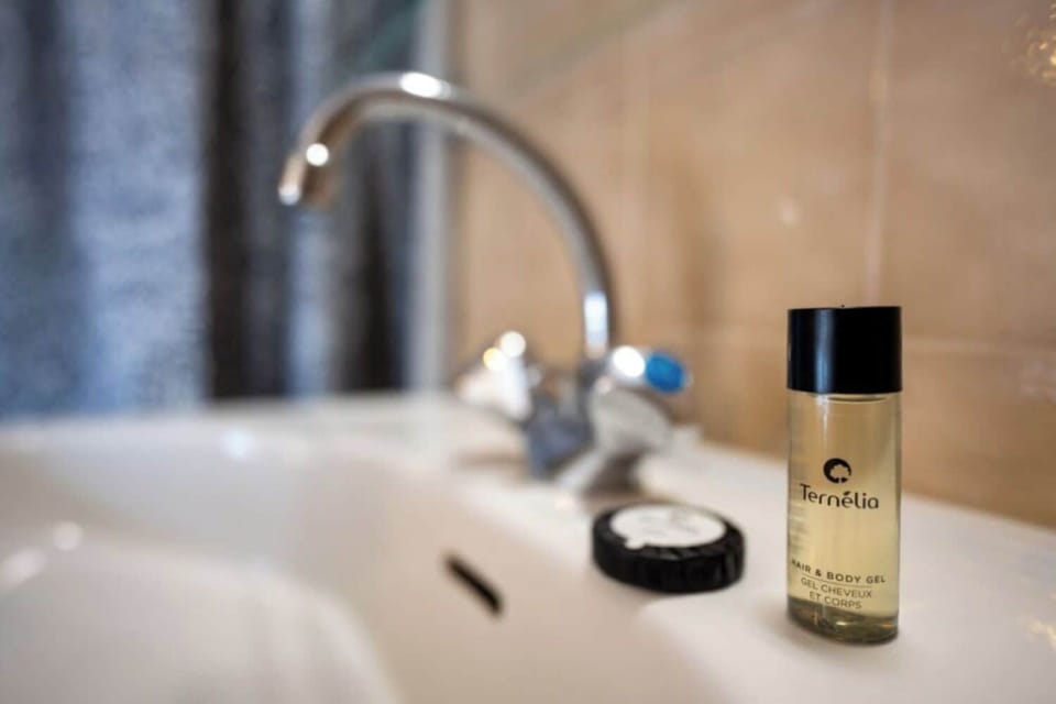 Economy Room | Bathroom amenities