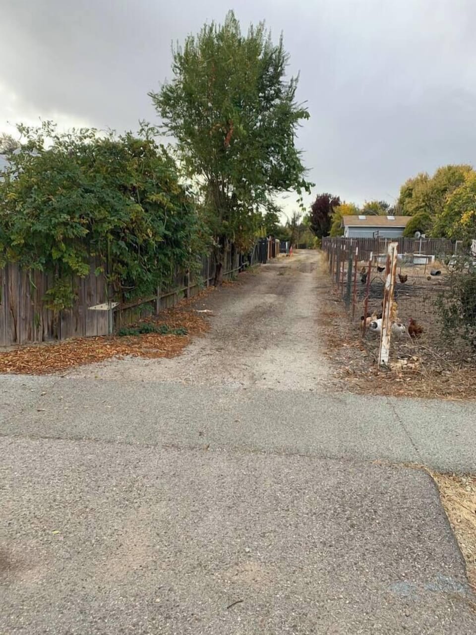 Bordered by a wooden fence and lush greenery, the trail leads toward the main house and surrounding property.