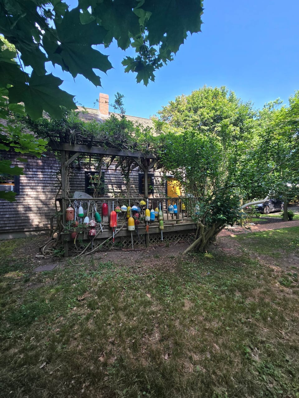 Over four decades, wisteria has established itself as part of the deck, blooming for about two weeks in June, and providing cool shade the rest of the summer.