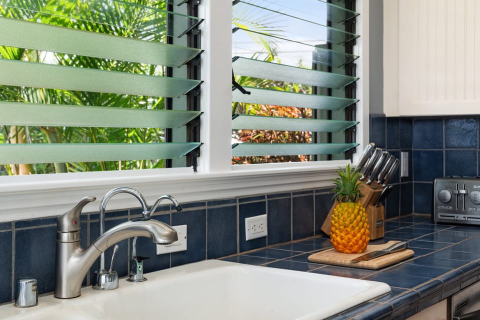 Kitchen sink with window views overlooking lush tropical greenery.