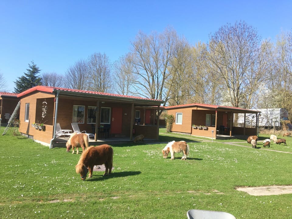 House | View from property