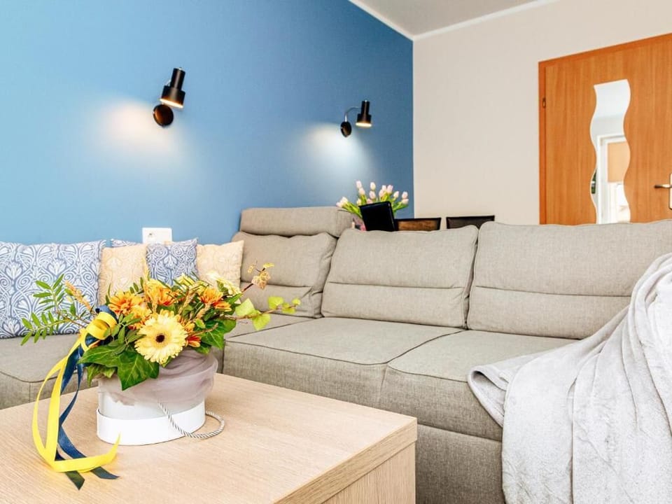 Apartment, Balcony, City View | Living area | 49-inch TV with cable channels