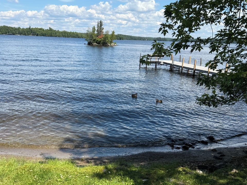 Dock With Bench