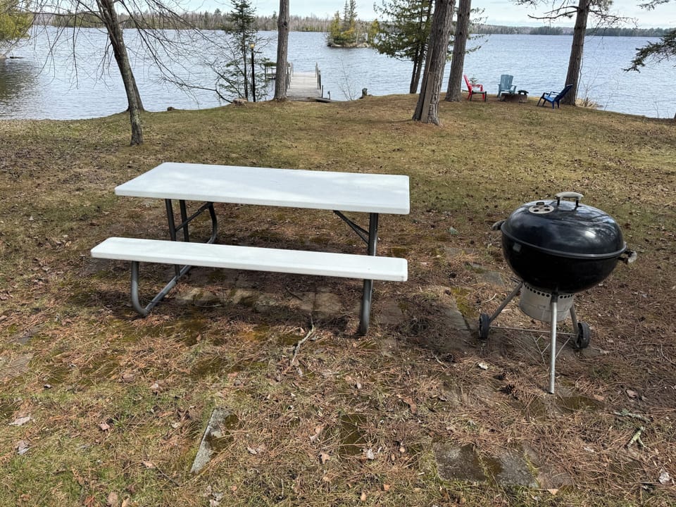 Picnic table and Weber grill