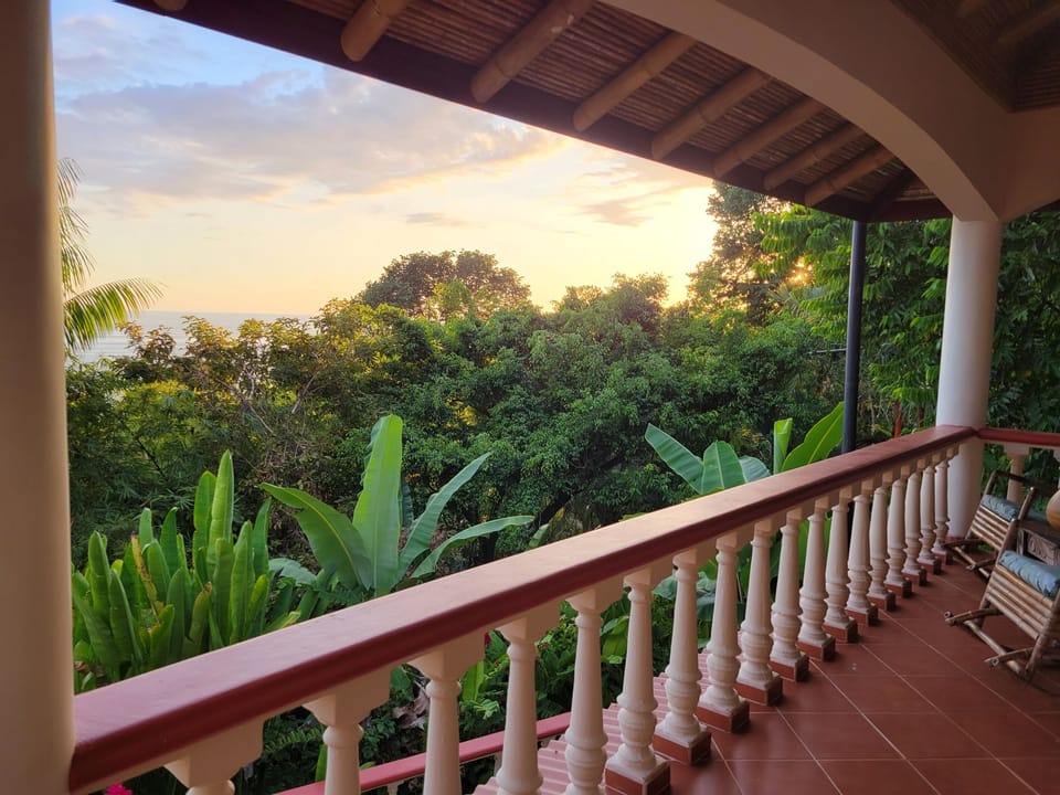 Enjoy the sights and sounds of the jungle and ocean