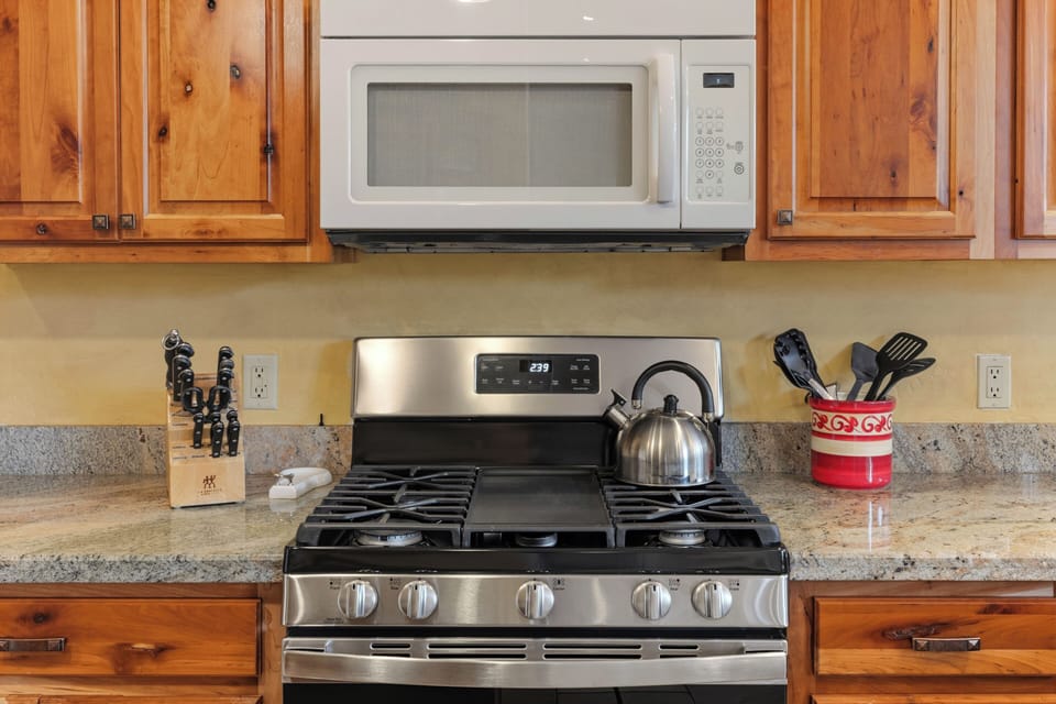 Gas stove