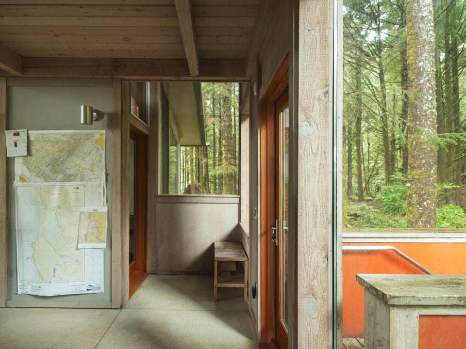 Step into your modern forest retreat where natural light floods through floor-to-ceiling windows, connecting you with serene woodland views.