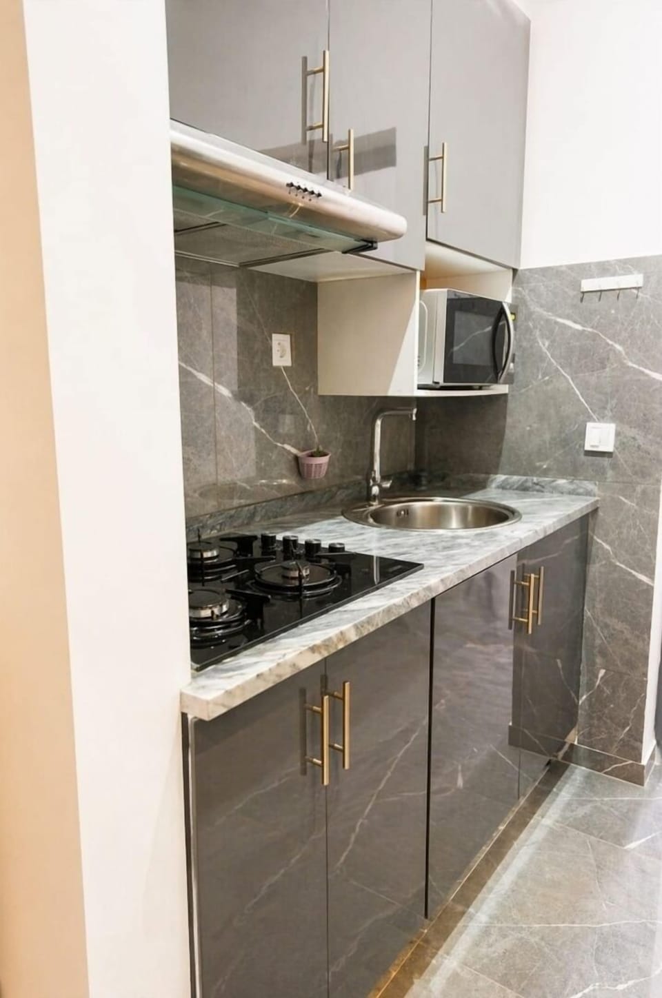 Kitchenette moderna, totalmente equipada com placa de fogão e micro-ondas