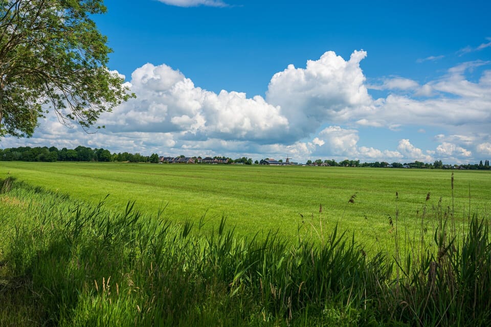 House | View from property