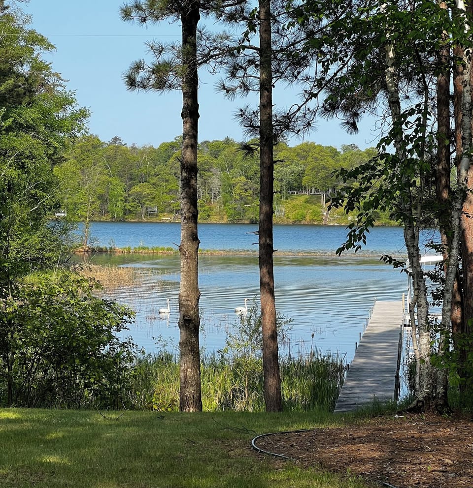 Nature abounds from the yard and dock, surrounded by peaceful lakeside beauty