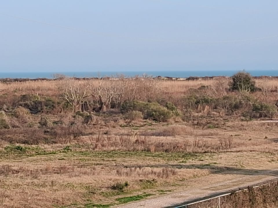 5 min walk to beach or 1 min drive to drivable beach.