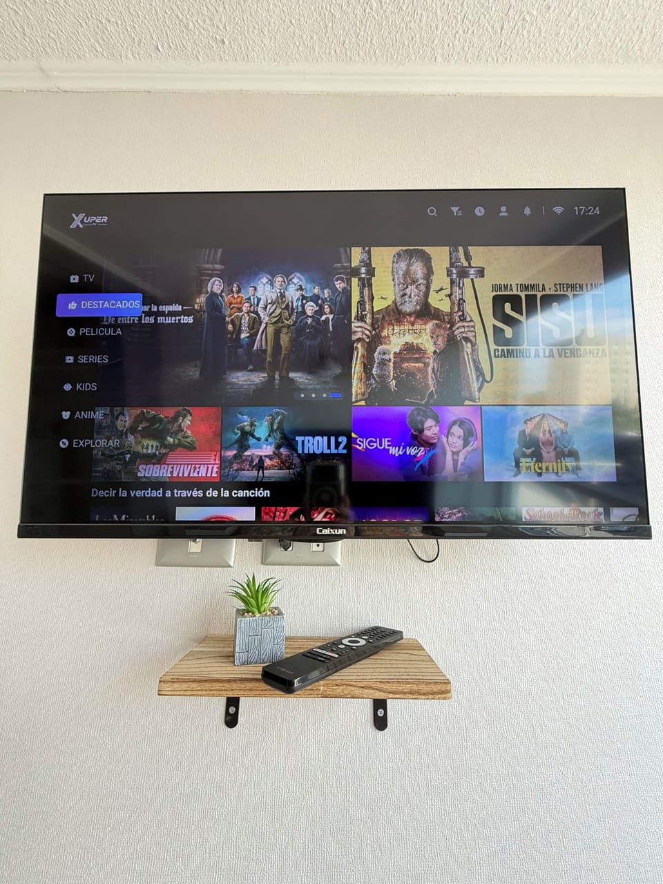 Television