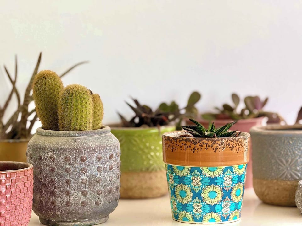 Notice the subtle details as you move through the space, earthy pots, natural elements, and soft textures that quietly shape the mood.