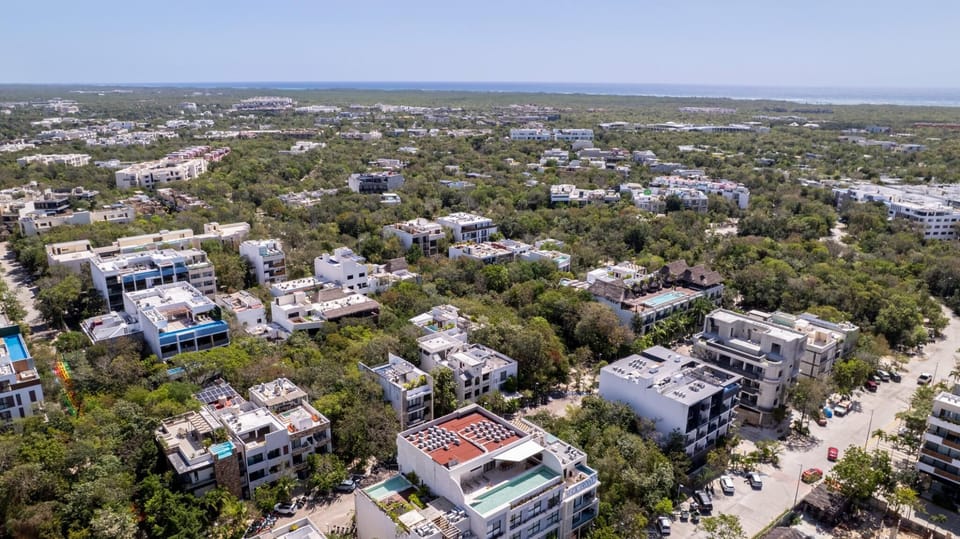 Neighborhood view