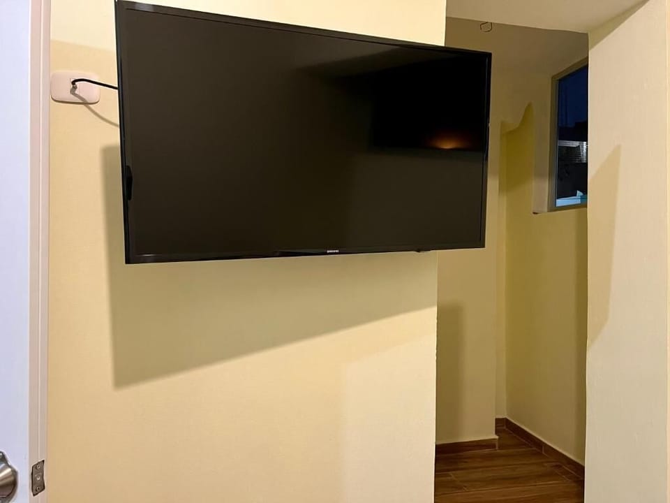 Television