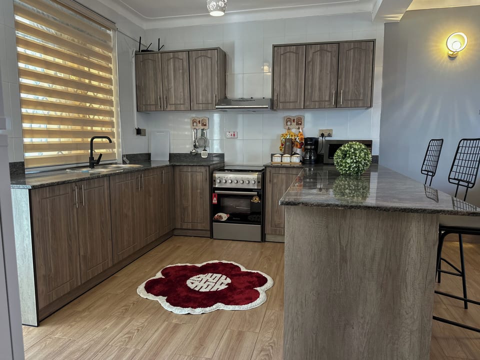Family Apartment, Housekeeping, Lake View | Private kitchen | Fridge, microwave, oven, dishwasher