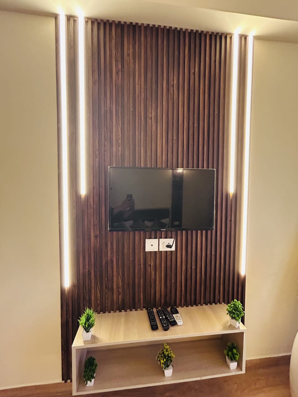 Television
