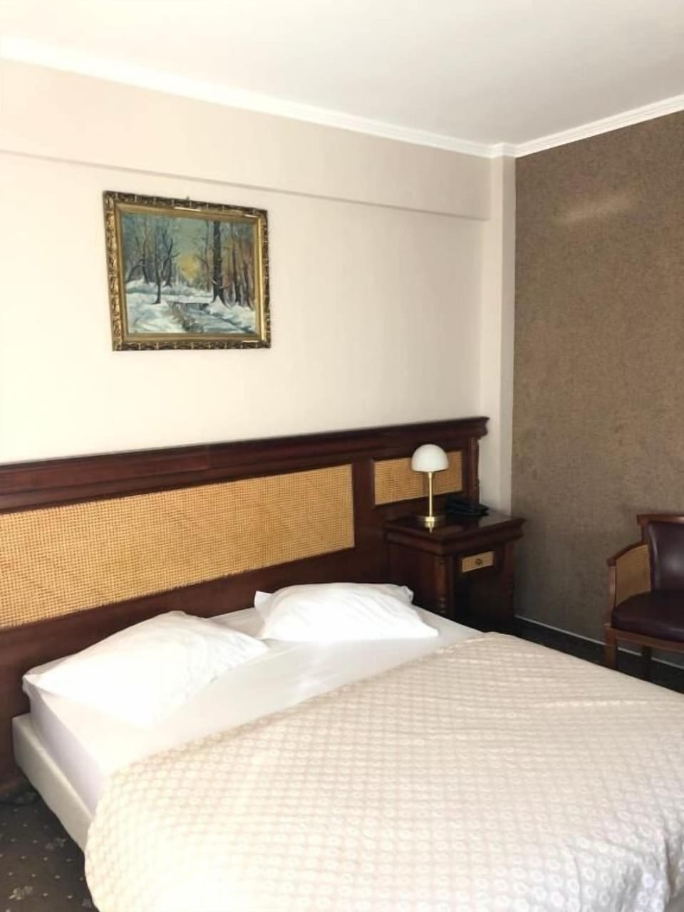 Double or Twin Room, Balcony, Garden View | Iron/ironing board, free WiFi
