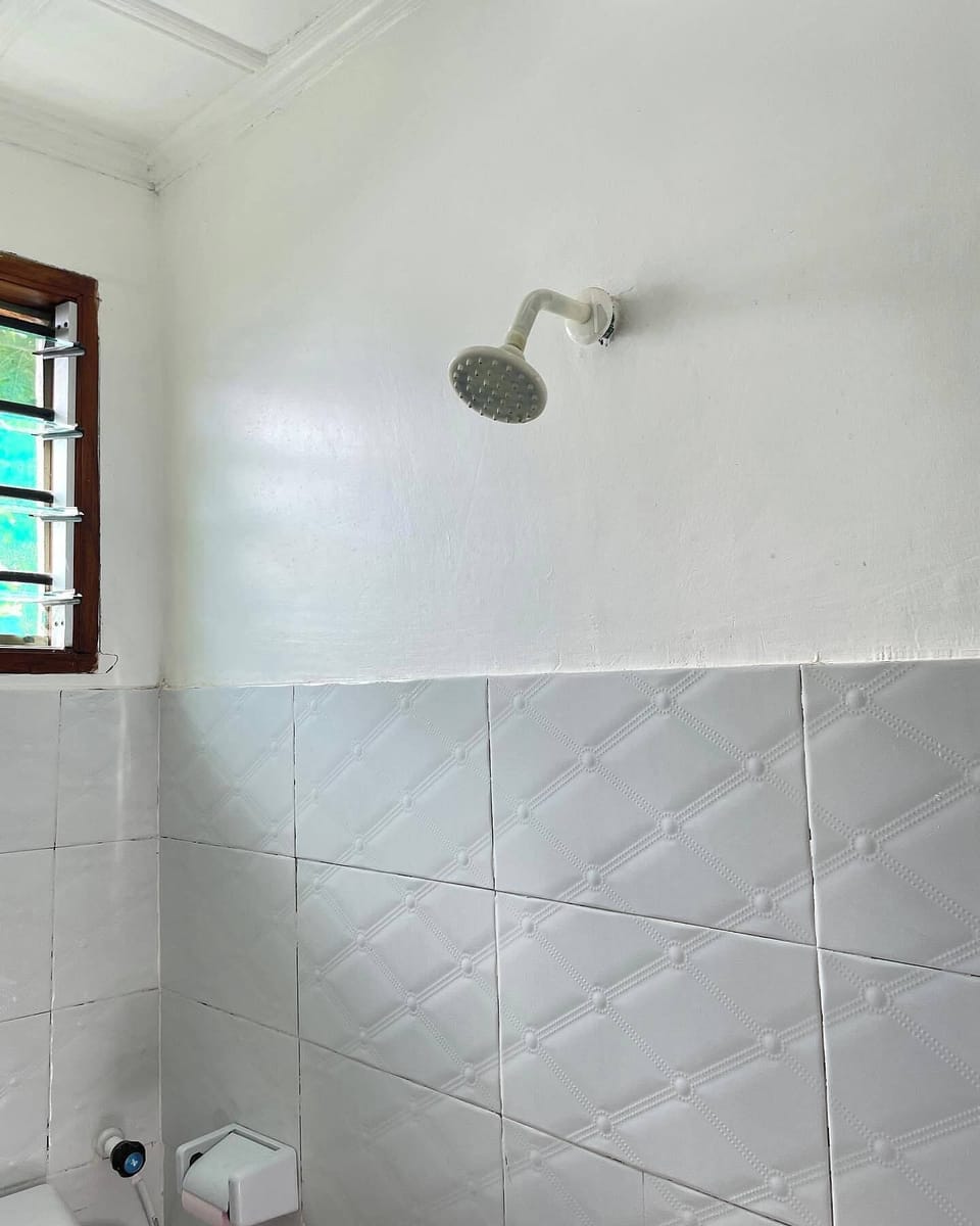 Deluxe Single Room | Bathroom | Shower, slippers, towels, soap