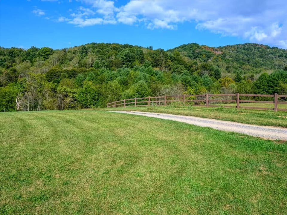 The driveway leading up to the farmhouse.